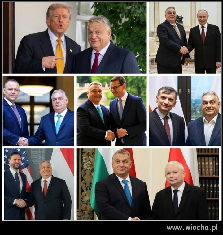 Galeria przegrywow, ktorzy dali dudy razem z Orbanem!
