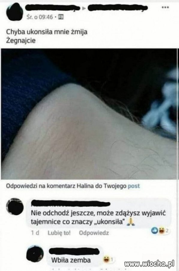 Żegnajcie