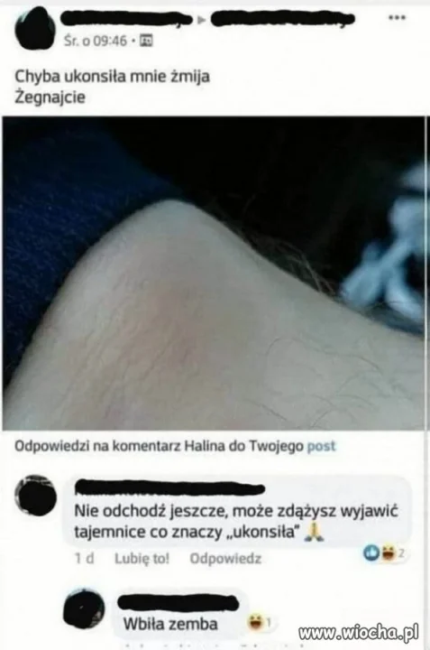 Żegnajcie