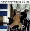 Bolą plecy, bolą kolana