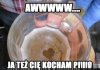 Ja też cię kocham, piwo