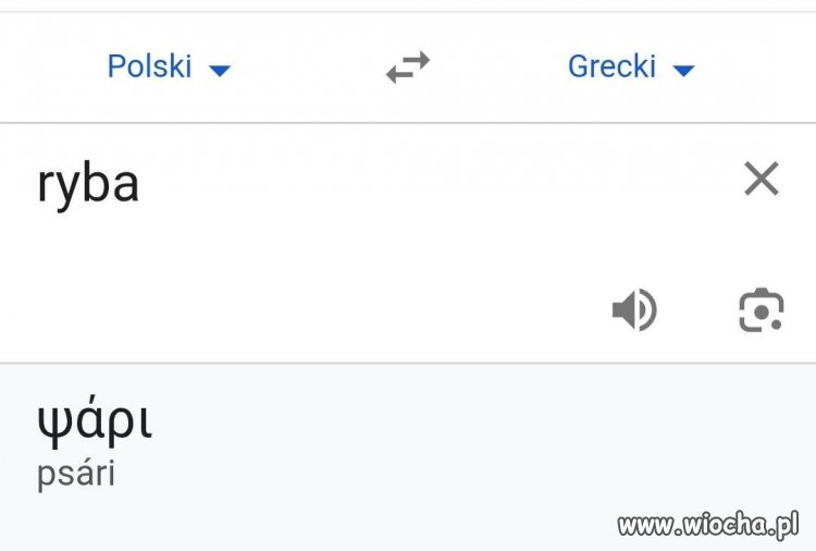 Ryba po grecku