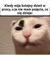 Dzień jak co dzień