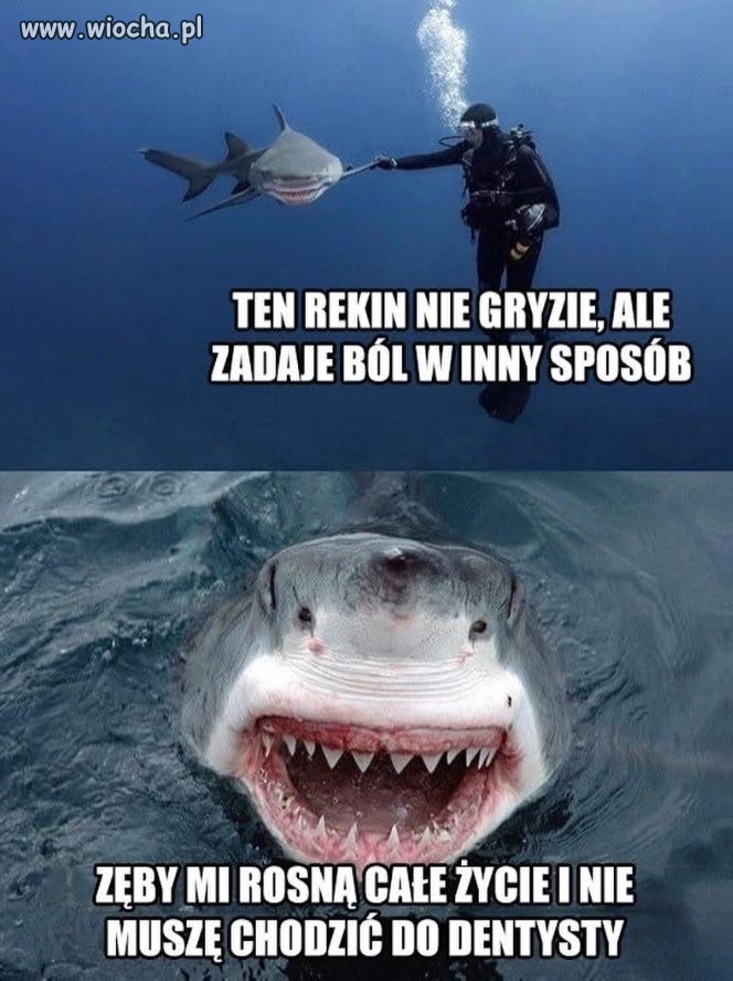 Ten to ma szczęście
