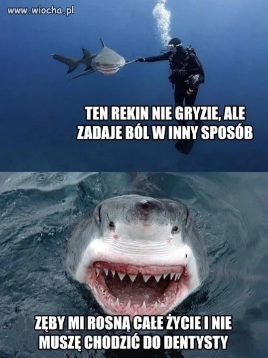 Ten to ma szczęście
