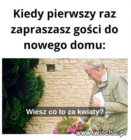 Ty, a co to za kwiaty?