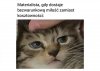 Ja tylko chciałem pieniądze