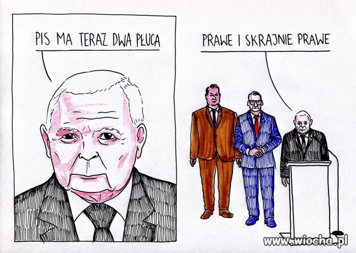 I do tego brak kręgosłupa moralnego 