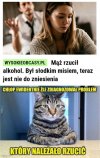Źle zdiagnozował problem?