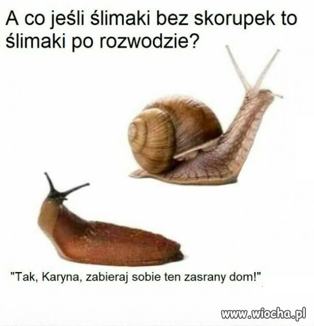 Nastąpił podział majątku