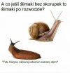 Nastąpił podział majątku