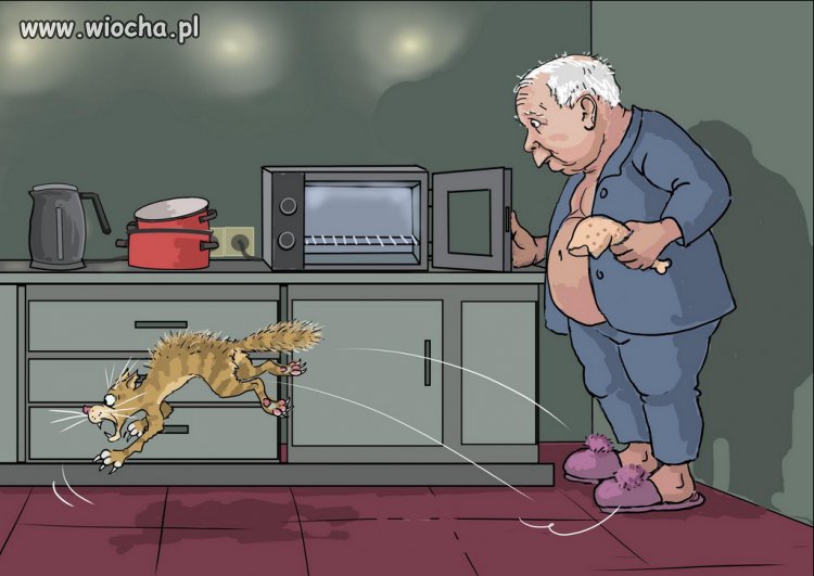 Już nawet kot mu nie wierzy...