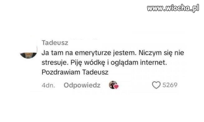 Piję wódkę i oglądam internet