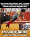 Co kto lubi 