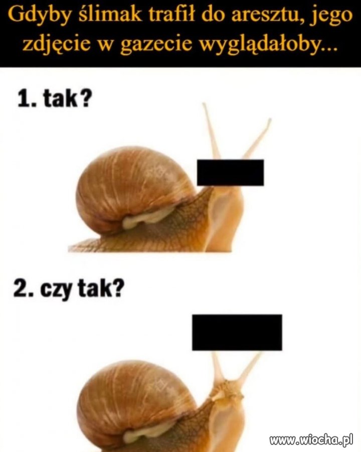 Dobre pytanie