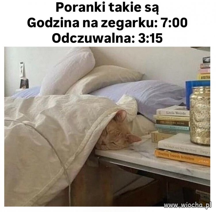 Za to 23 wieczorem jest odczuwalna jak 20