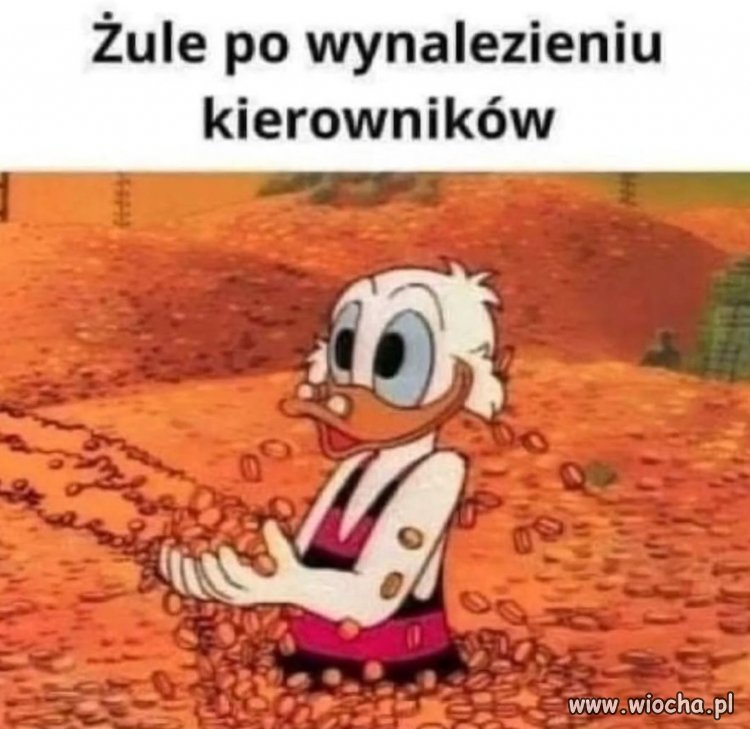 Kierowniku!