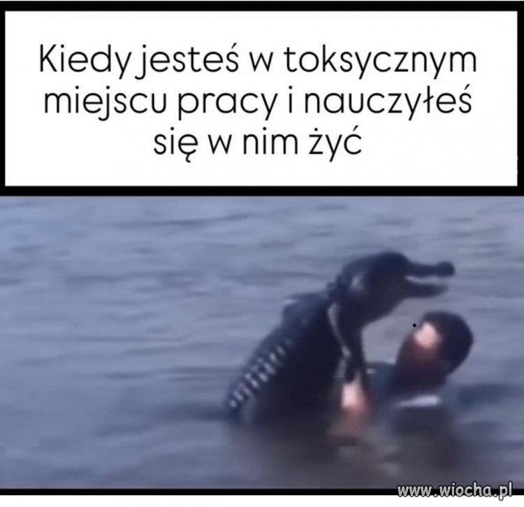 Wszystko w normie