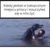 Wszystko w normie