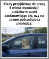 Czy na pewno potrzebuję pieniędzy?