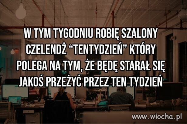Szalony czelendż