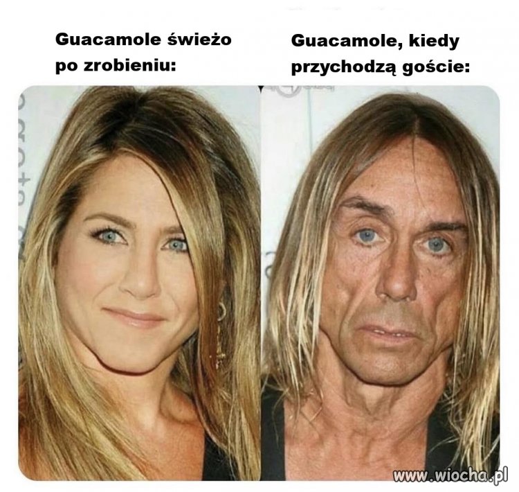 Guacamole najwidoczniej nie lubi imprez