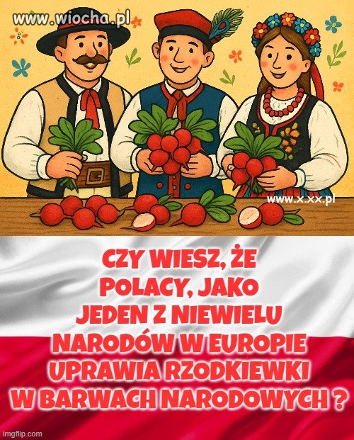 Niemcy tego nie potrafią ! 