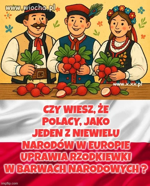 Niemcy tego nie potrafią ! 