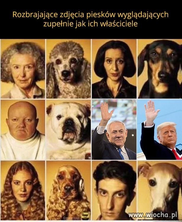 Wszyscy jak dwie krople wody