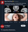 Tak to wiele tłumaczy