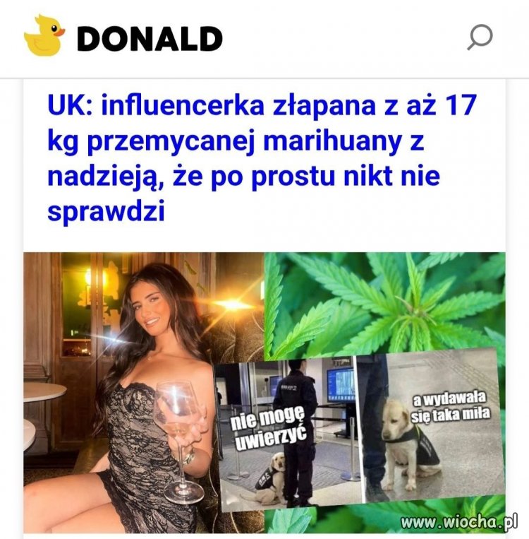 17 kg marihuany