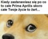 Moje życie to żart