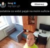 Ostatnio co widzi pająk na moim suficie
