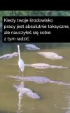 Kiedy twoje środowisko pracy jest absolutnie toksyczne