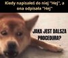 Hej