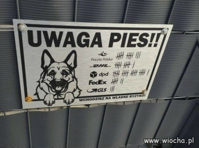 Uwaga pies!!