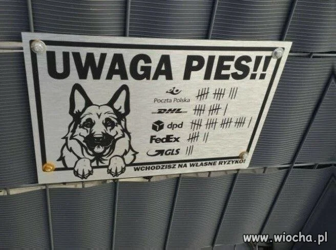 Uwaga pies!!