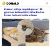 148 pytonów królewskich na luzaku?