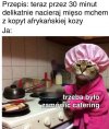 Trzeba było zamówić catering