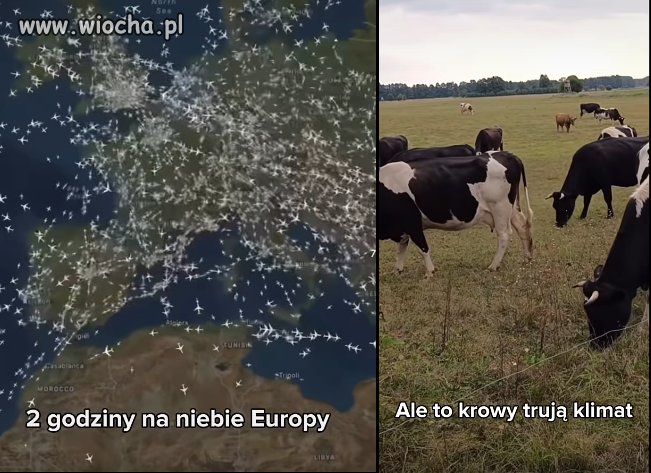 ..i na spotkania , każdy leci...