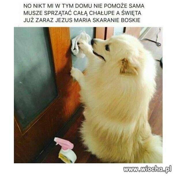 No nikt mi w tym domu nie pomaga