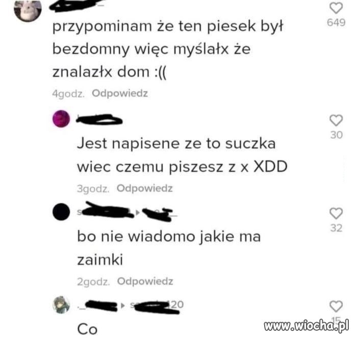 Nie wiadomo jakie ma zaimki