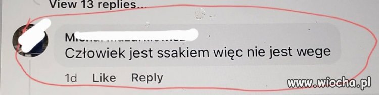 Wszystko jasne?