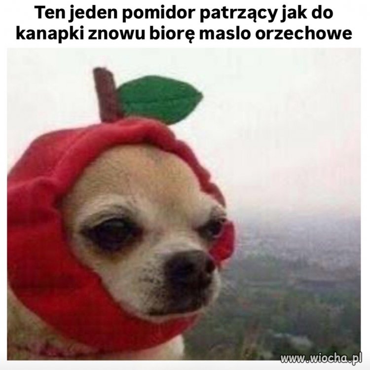 Kiedy w końcu zjesz coś zdrowego?