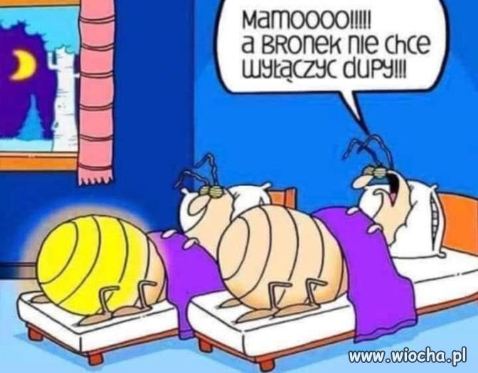 W takich warunkach spać nie będę 