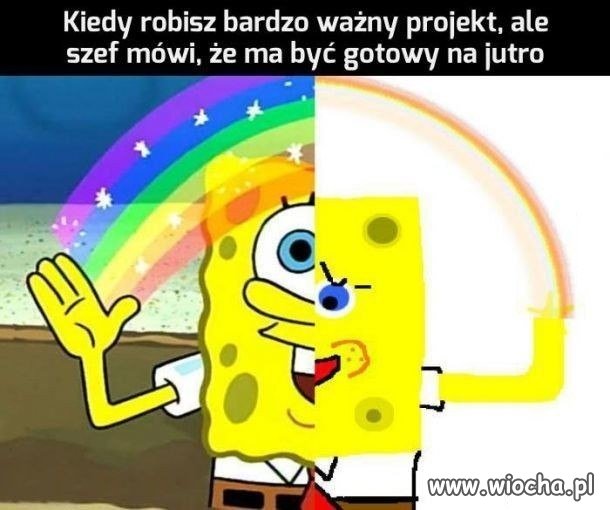 Nie można mieć wszystkiego