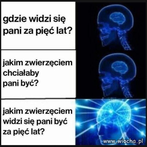 Typowa rozmowa o pracę