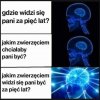 Typowa rozmowa o pracę