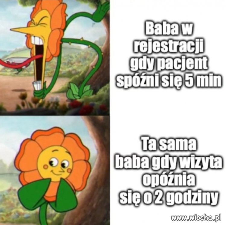 Baba w rejestracji naszym panem