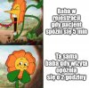 Baba w rejestracji naszym panem